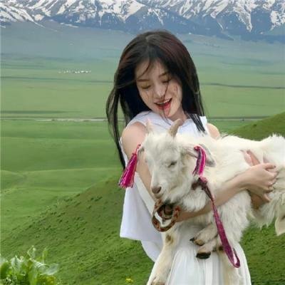 你情我愿